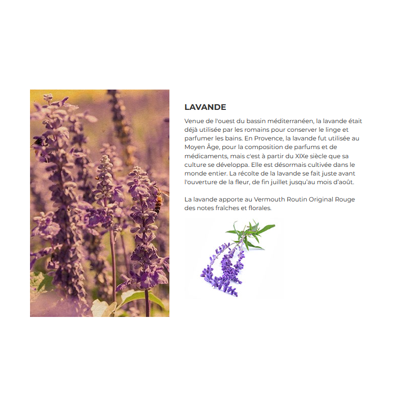 Vermouth Routin original Rouge 75 cl - 16.9° vol