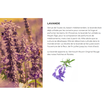 Vermouth Routin original Rouge 75 cl - 16.9° vol