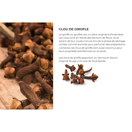 Vermouth Routin original Rouge 75 cl - 16.9° vol