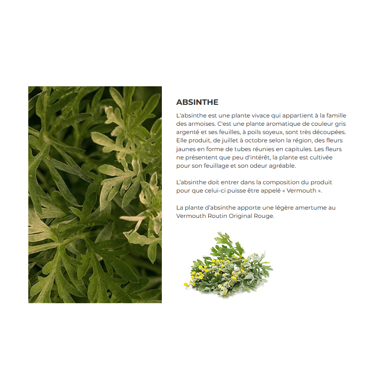 Vermouth Routin original Rouge 75 cl - 16.9° vol